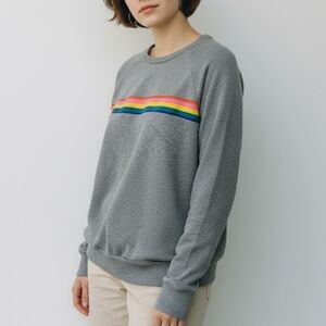 LNA Crew Neckline Grey Knit Sweatshirt Rainbow-Stripe Long Sleeve - L